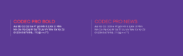 Type Codec Pro CHIP
